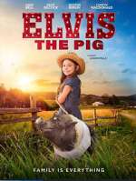 Watch Elvis the Pig Alluc