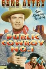 Watch Public Cowboy No 1 Alluc