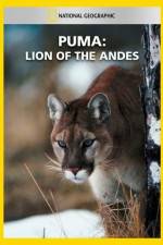 Watch National Geographic Puma: Lion of the Andes Alluc
