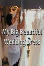 Watch My Big Beautiful Wedding Dress Alluc