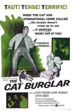 Watch The Cat Burglar Alluc