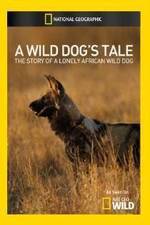 Watch A Wild Dogs Tale Alluc