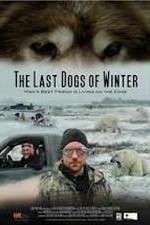 Watch The Last Dogs of Winter Alluc