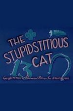 Watch The Stupidstitious Cat Alluc