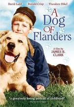 Watch A Dog of Flanders Alluc