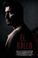 Watch El Gallo Alluc