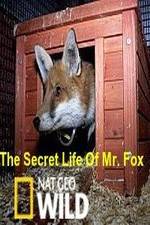 Watch The Secret Life of Mr. Fox Alluc
