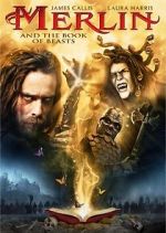 Watch Merlin and the Book of Beasts Alluc