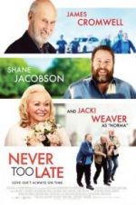 Watch Never Too Late Alluc