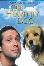 Watch Oh Heavenly Dog Alluc