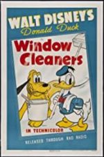 Watch Window Cleaners Alluc
