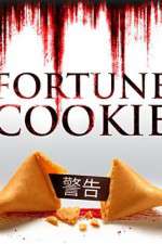 Watch Fortune Cookie Alluc