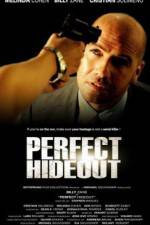 Watch Perfect Hideout Alluc
