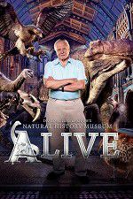 Watch David Attenborough\'s Natural History Museum Alive Alluc