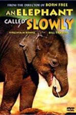 Watch An Elephant Called Slowly Alluc