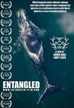 Watch Entangled: The Race to Save Right Whales from Extinction Alluc