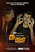 Watch Mr. Saturday Night Alluc