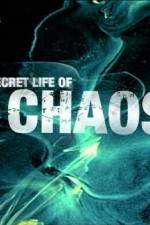 Watch The Secret Life of Chaos Alluc