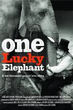 Watch En lycklig elefant Alluc