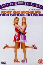Watch Romy and Michele's High School Reunion Alluc