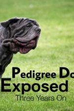 Watch Pedigree Dogs Exposed, Three Years On Alluc