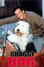 Watch The Shaggy Dog Alluc