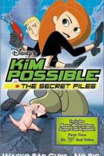 Watch "Kim Possible" Attack of the Killer Bebes Alluc