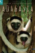 Watch Madagascar Island of Marvels Alluc