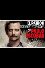 Watch The Rise and Fall of Pablo Escobar Alluc