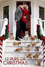 Watch 12 Pups of Christmas Alluc