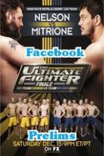 Watch The Ultimate Fighter 16 Finale Facebook Fights Alluc