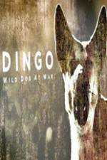 Watch Dingo Wild Dog at War Alluc