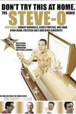 Watch Don't Try This at Home The Steve-O Video Alluc
