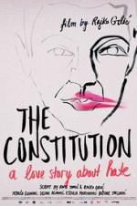 Watch The Constitution Alluc