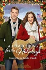 Watch A Homecoming for the Holidays Alluc