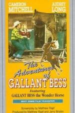 Watch Adventures of Gallant Bess Alluc