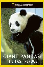 Watch National Geographic Giant Pandas The Last Refuge Alluc