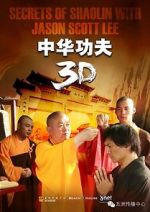 Watch Secrets of Shaolin with Jason Scott Lee Alluc