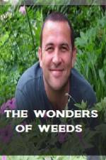 Watch The Wonder Of Weeds Alluc