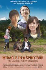 Watch Miracle in Kasama Alluc