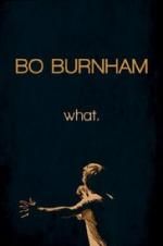 Watch Bo Burnham: what. Alluc