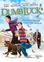 Watch Dumb Luck Alluc