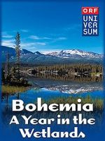 Watch Bohemia: A Year in the Wetlands Alluc