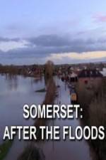 Watch Somerset: After the Floods Alluc