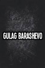 Watch Gulag Barashevo Alluc