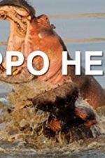 Watch Hippo Hell Alluc