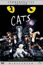 Watch Great Performances Cats Alluc