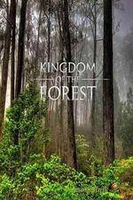 Watch National Geographic Kingdom of the Forest Alluc