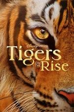Watch Tigers on the Rise Alluc