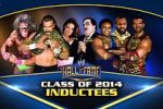 Watch WWE Hall of Fame Alluc